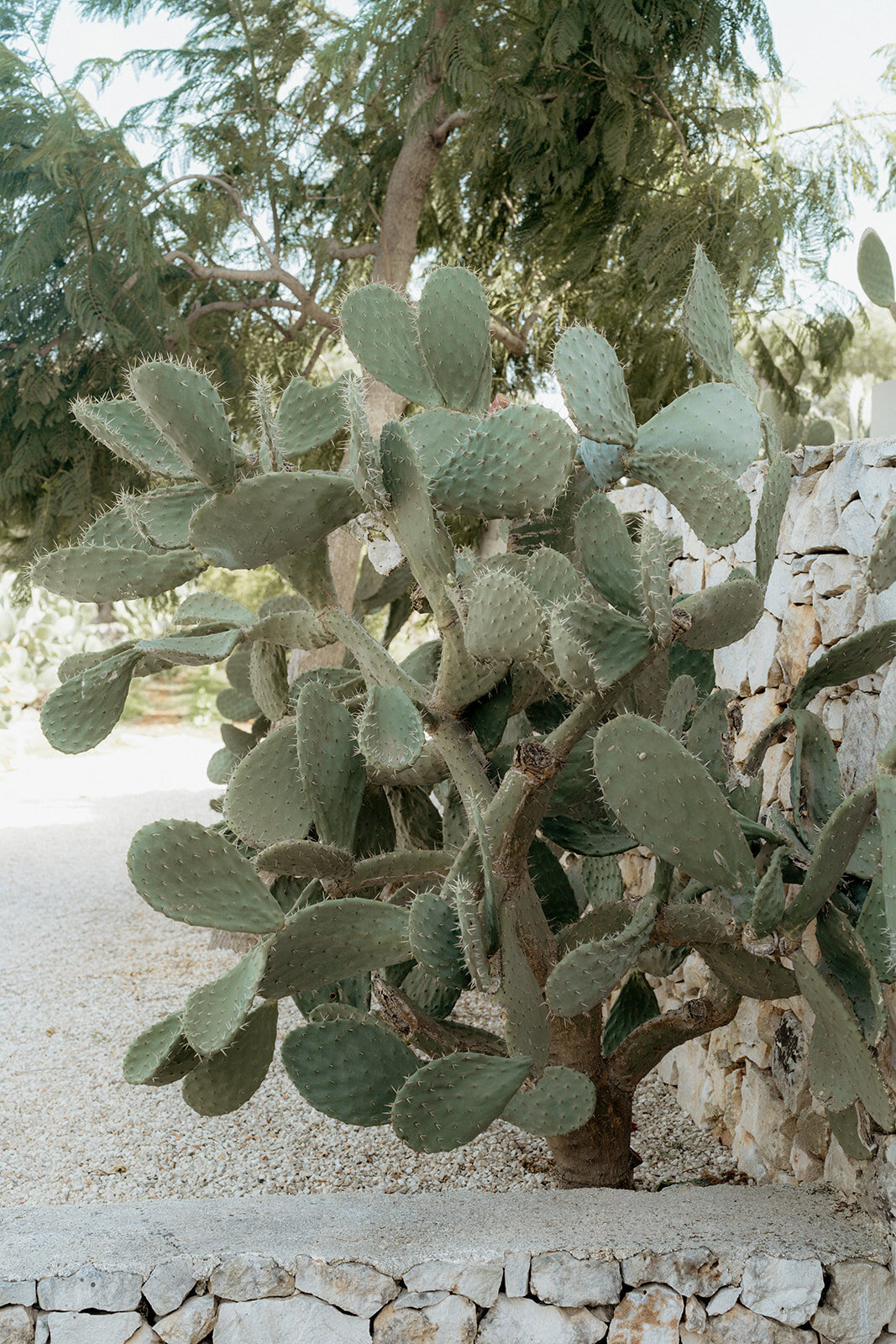 Suzy Anderson Photography -31_websize