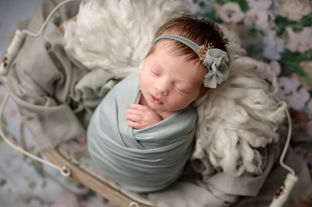 Eloise Newborn 020