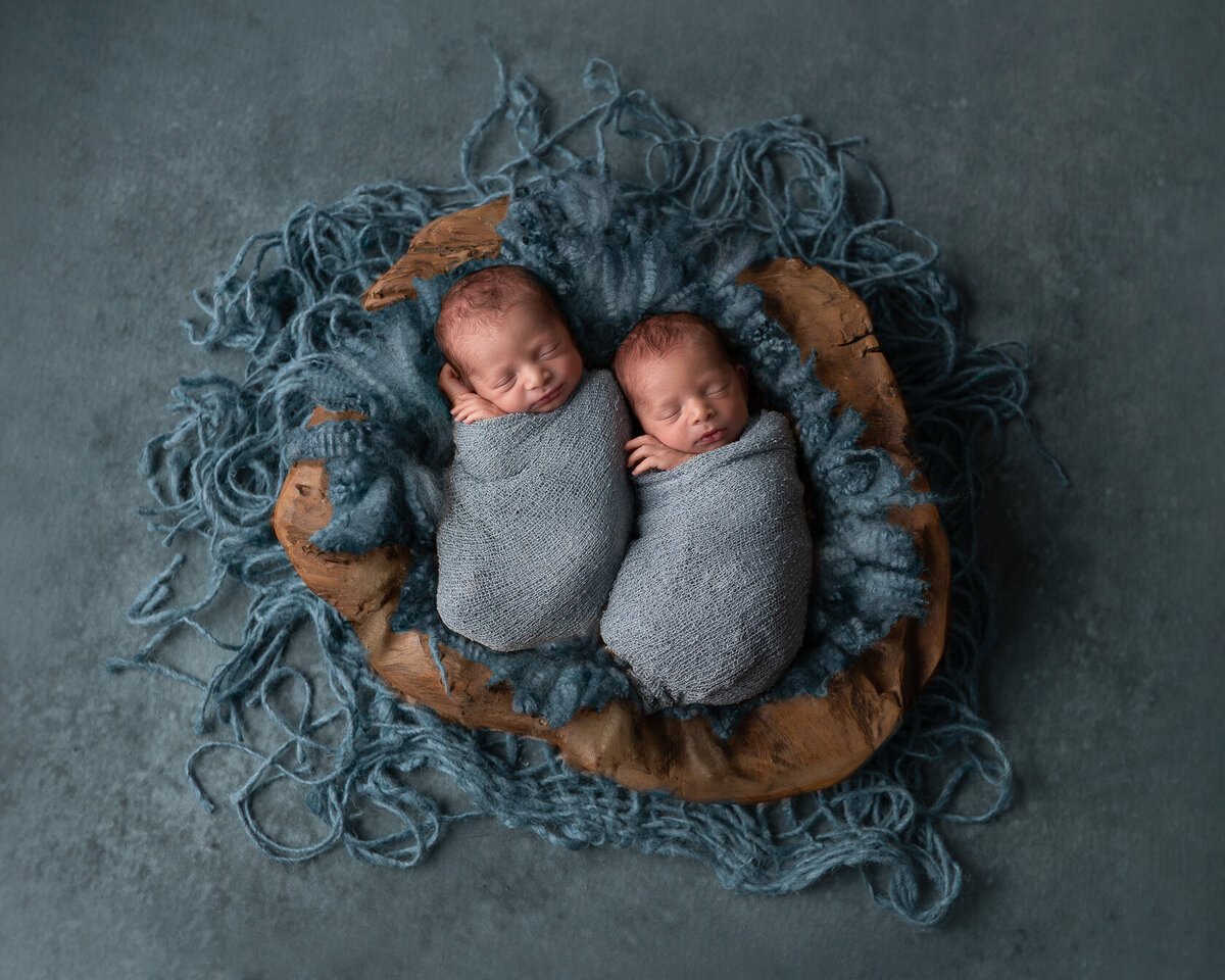 Lovely wrapped newborn twin in blue furry background