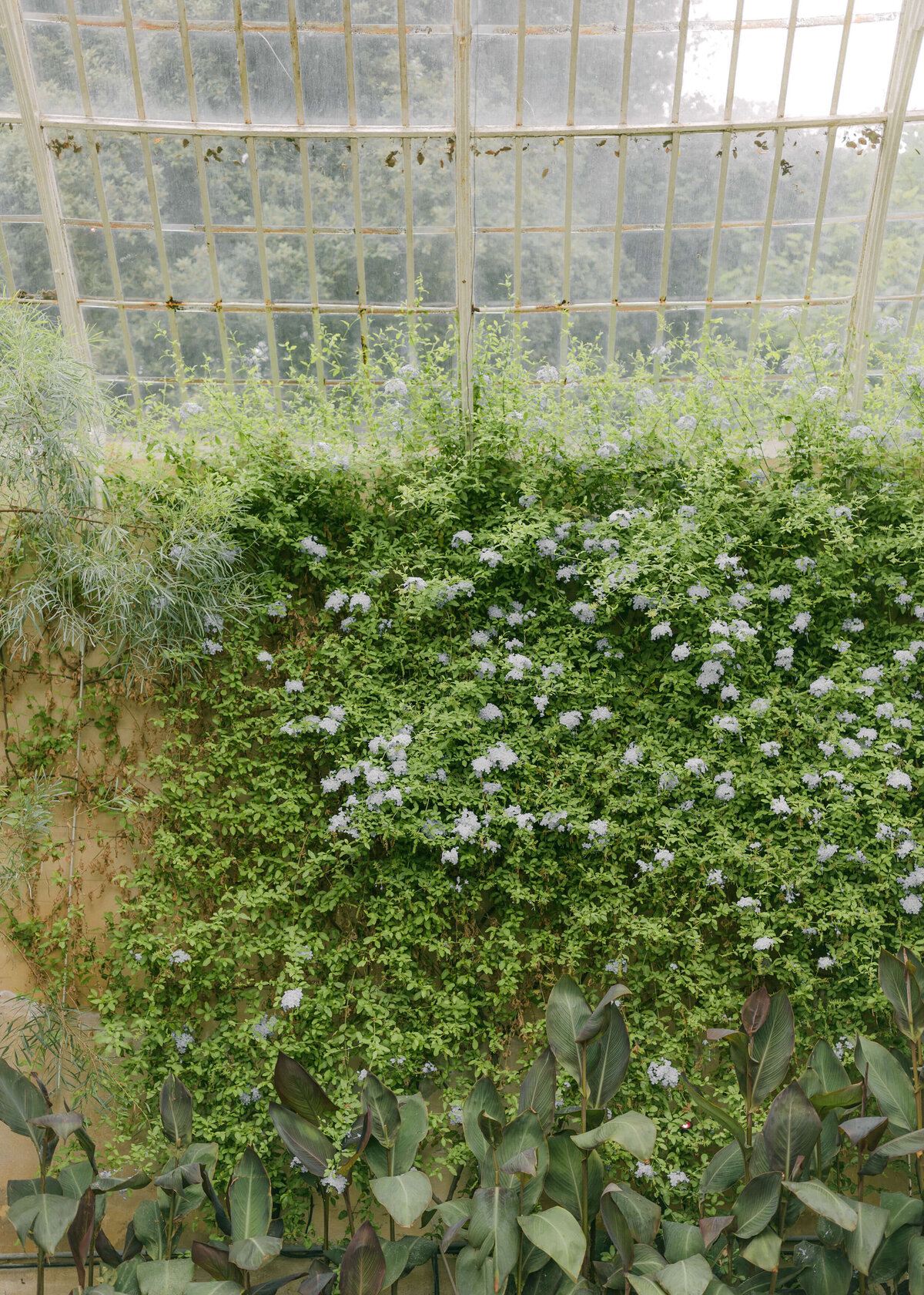 chloe-winstanley-weddings-syon-park-greenhouse-flowers