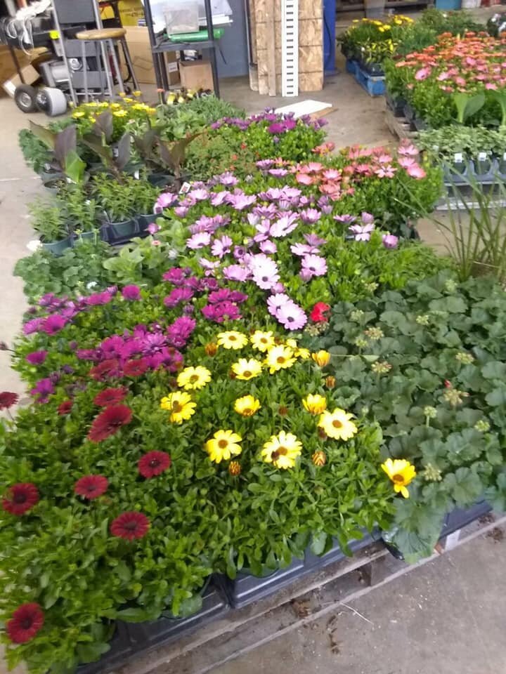 Farmhouse Style Decorating In Swanzey, NH The She Shed