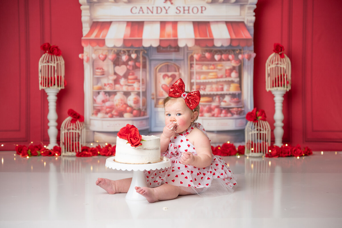 Copperfield Photographer-Picturesque Studios-011924-Model1-1396