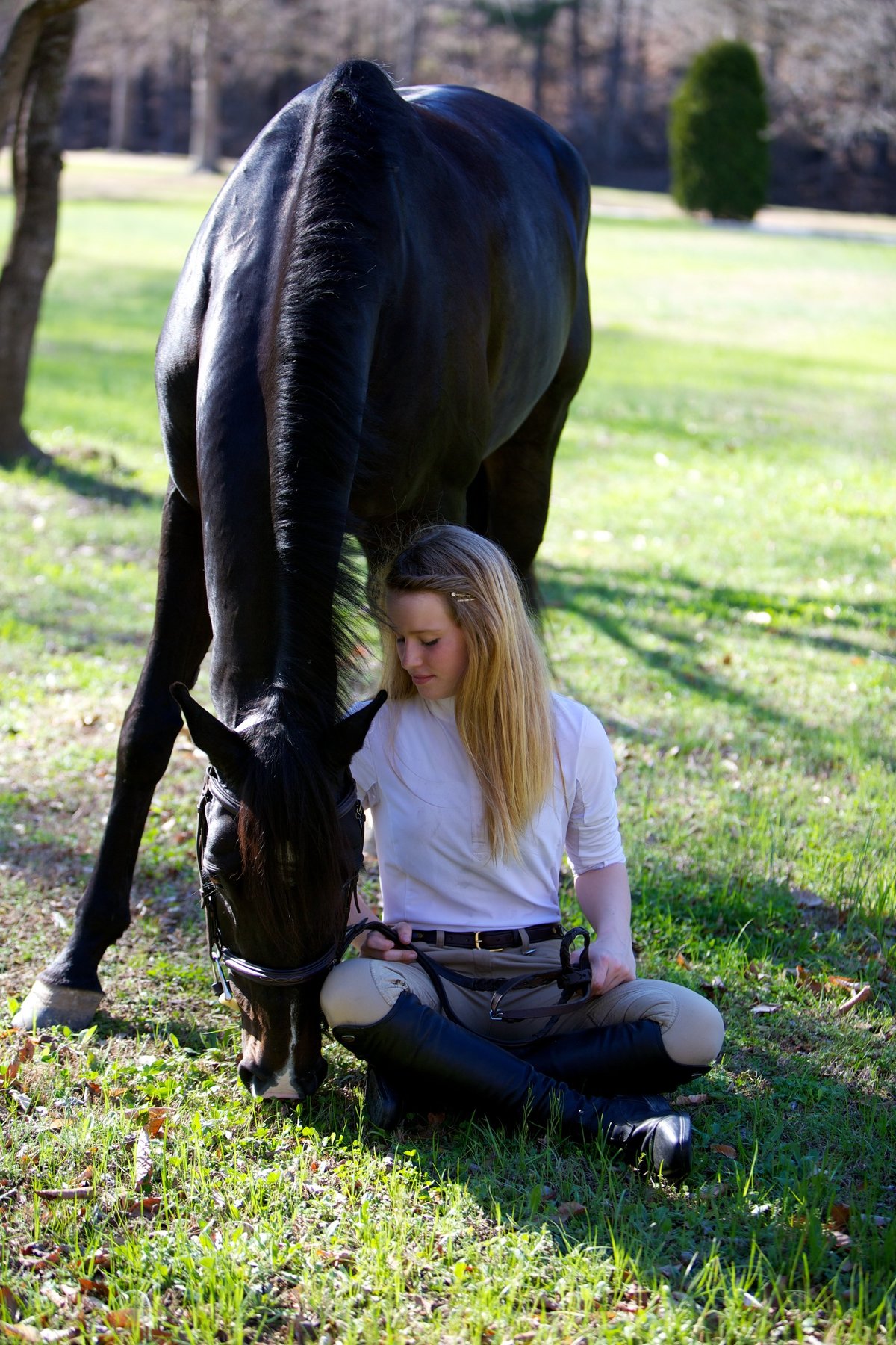 Windwood_Equestrian_riding_lessons_jumper_hunter_Horse_Birmingham241