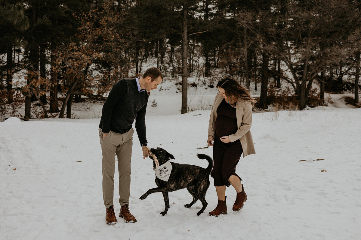 a n expecting couple playing with their dogs in the snow