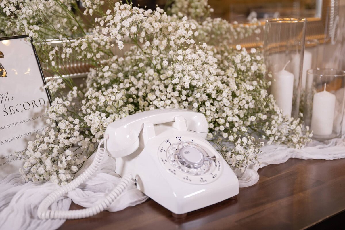 grandrapidsweddingphotographer-bloomfield-7