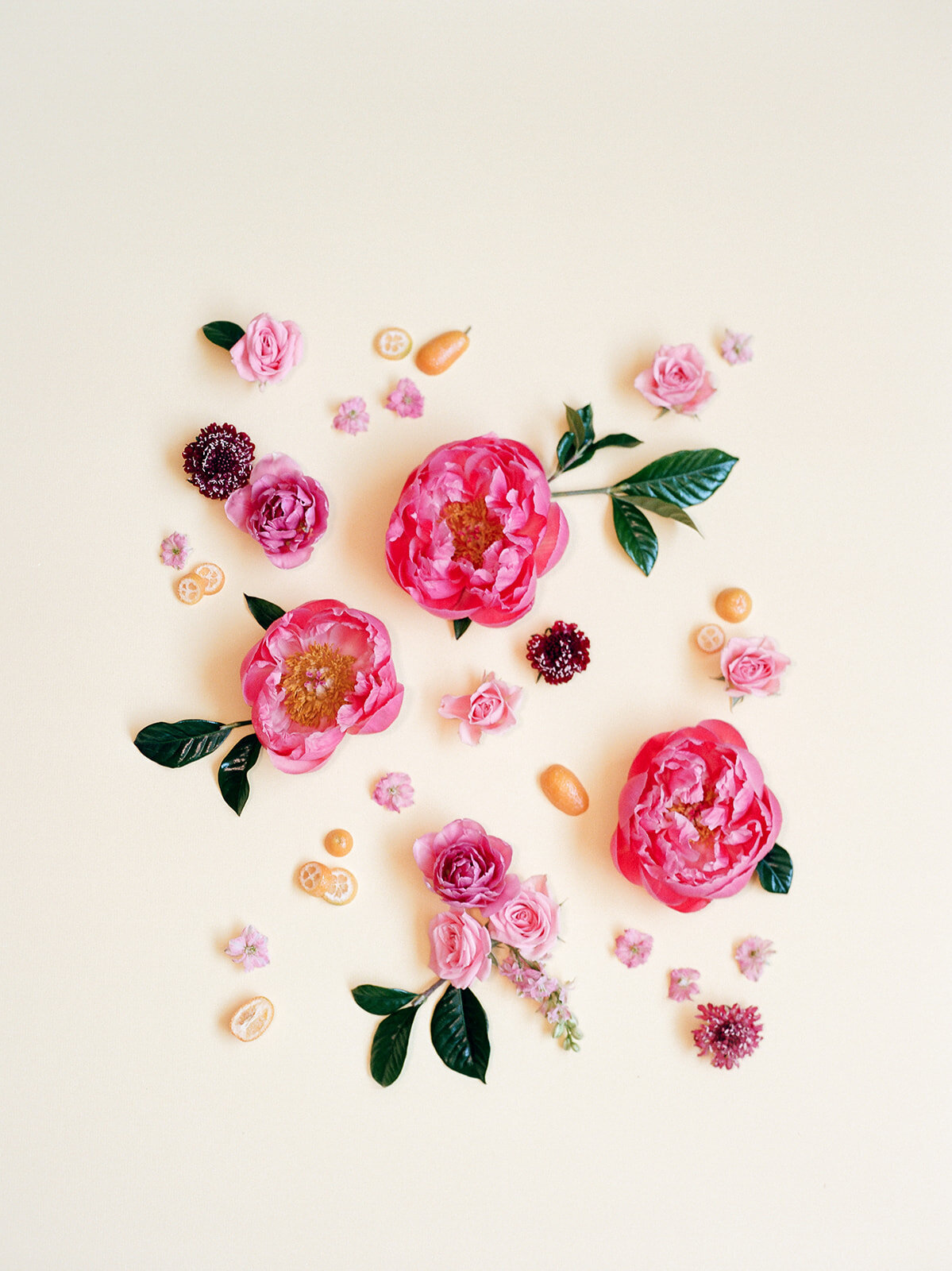 fran-florals-2018-3_websize