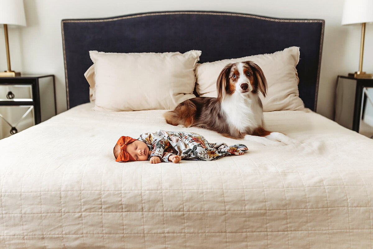 fort-collins-newborn-photographer-10