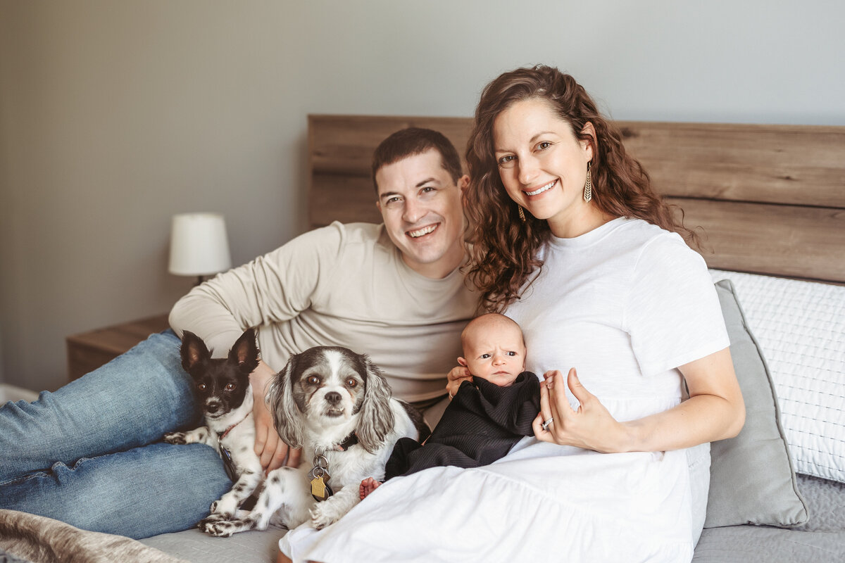 Couple sitting in bed with newborn and dogs