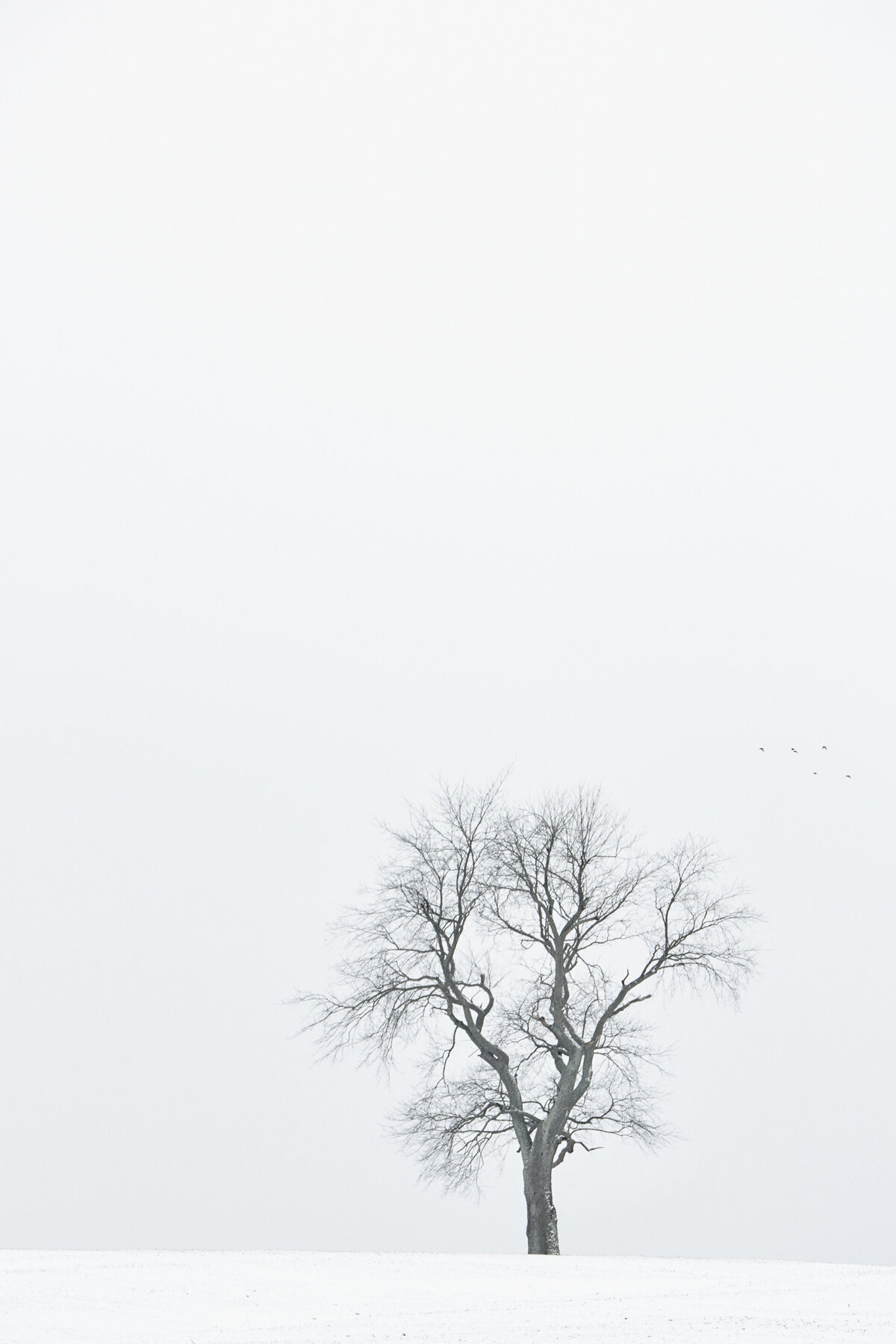 20130202_PROJECT_0023_01