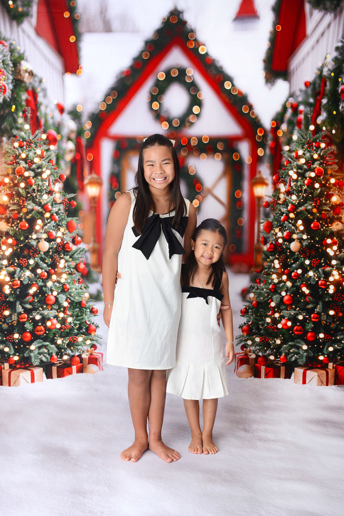 houstonchristmasminis (9)