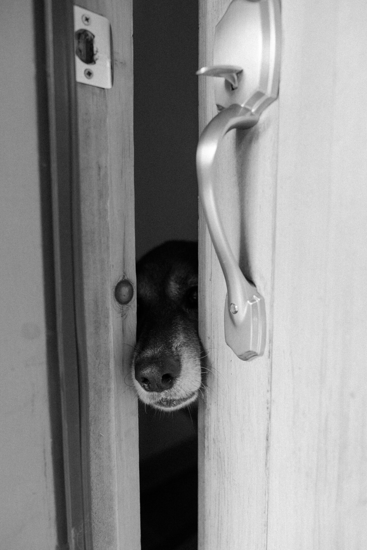 Wakefield QC wedding photographer