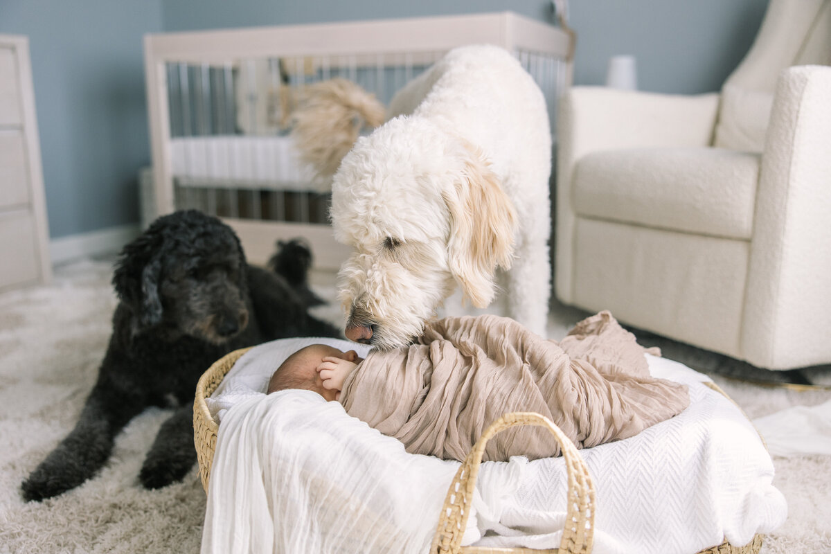 The Dalzell Family | Newborn-0019