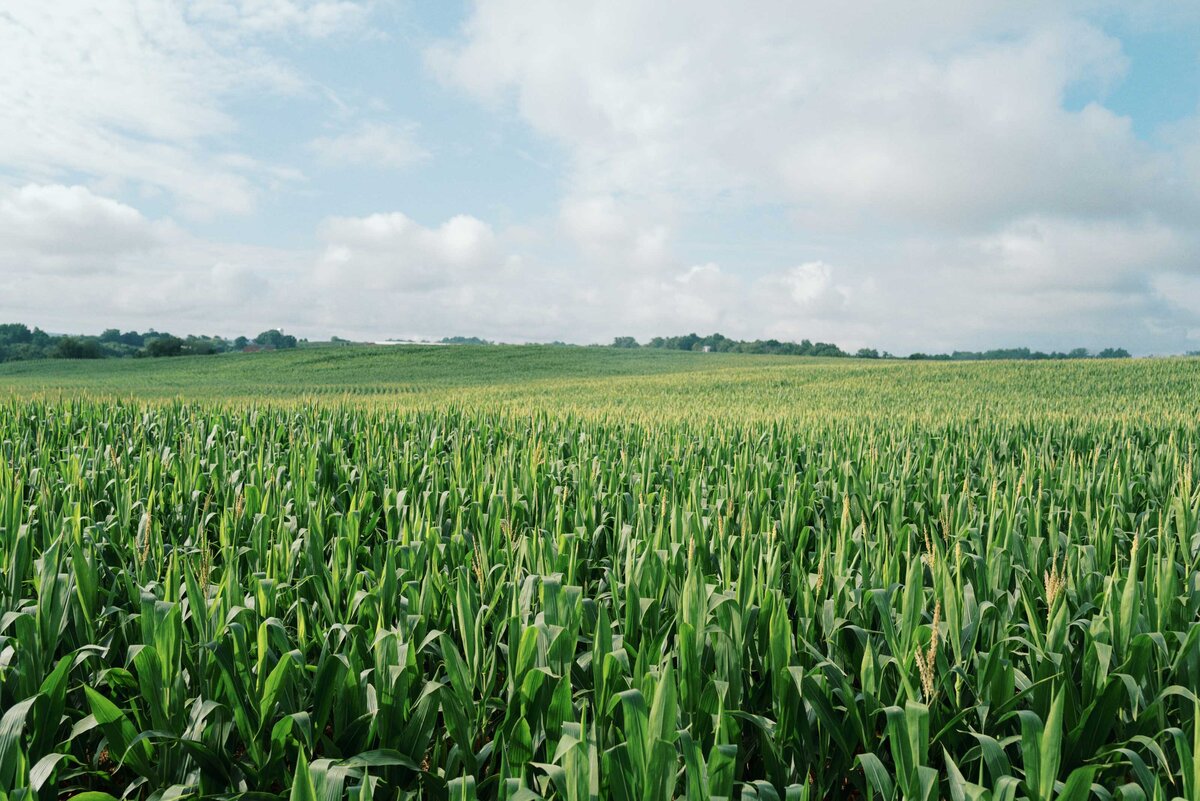 farm-at-eagles-ridge-lancaster-wedding-002
