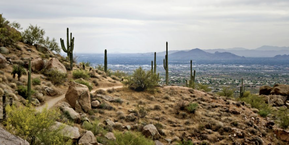 sell a home ahwahtukee az