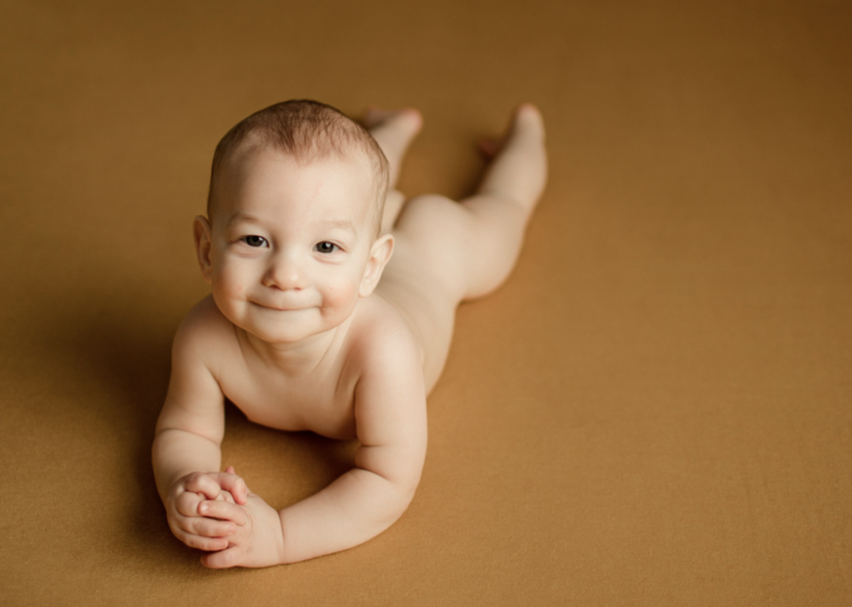 shelburne newborn photographer