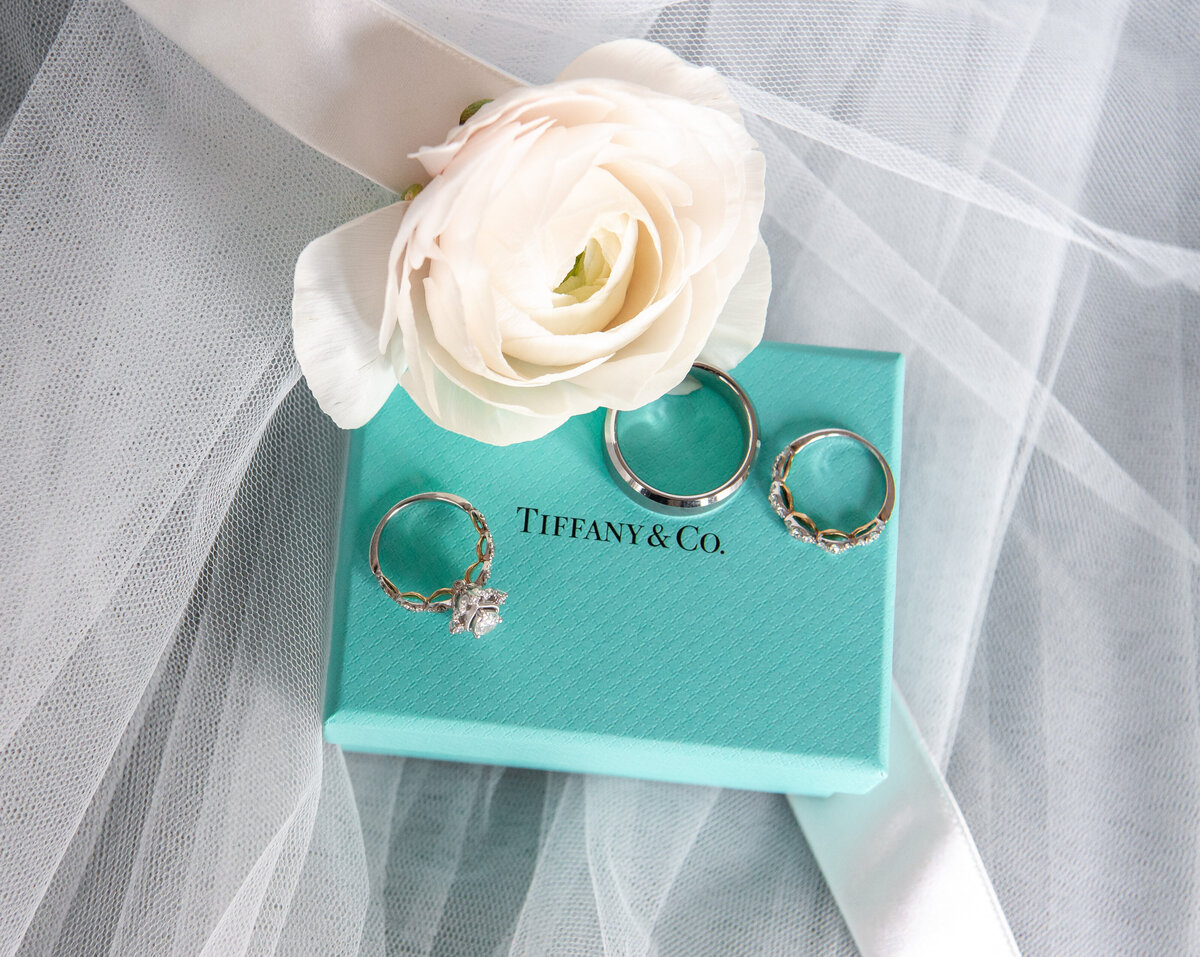 Tiffany Rings-1