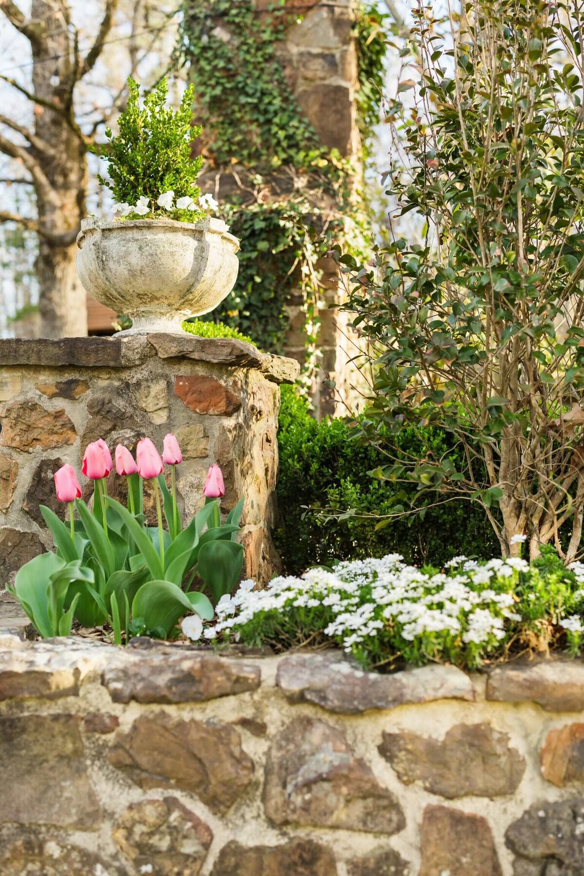 stone-garden-wall-tulips-spring-landscape-little-rock