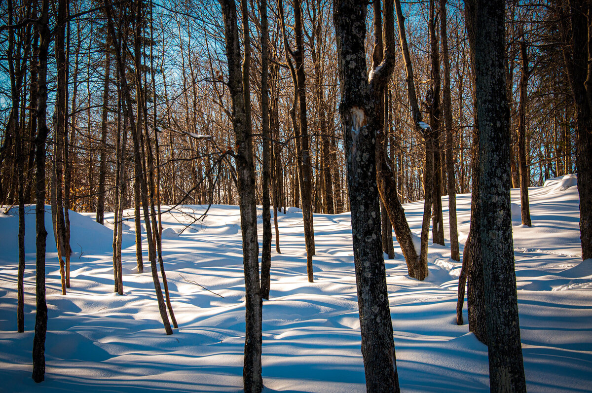_DSC0026