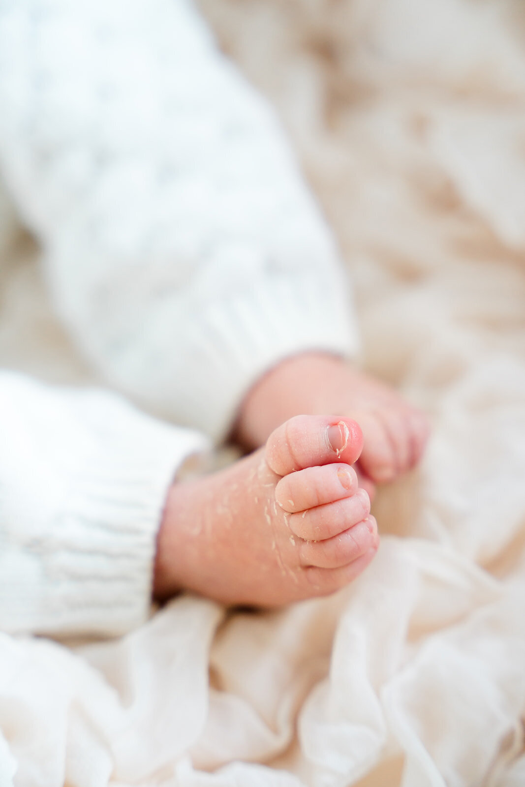 Callie Newborn-17