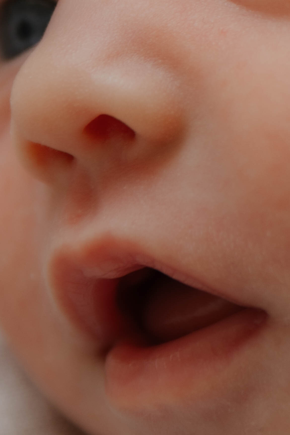 newborn photography cairns
