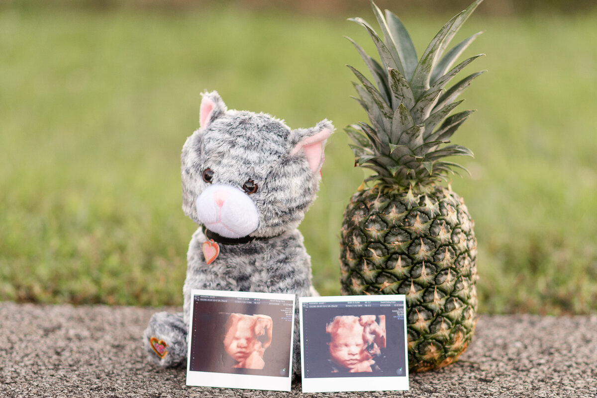 Maternity Surrogacy cute photo ideas with sonogram  by Michelle Lynn Photography