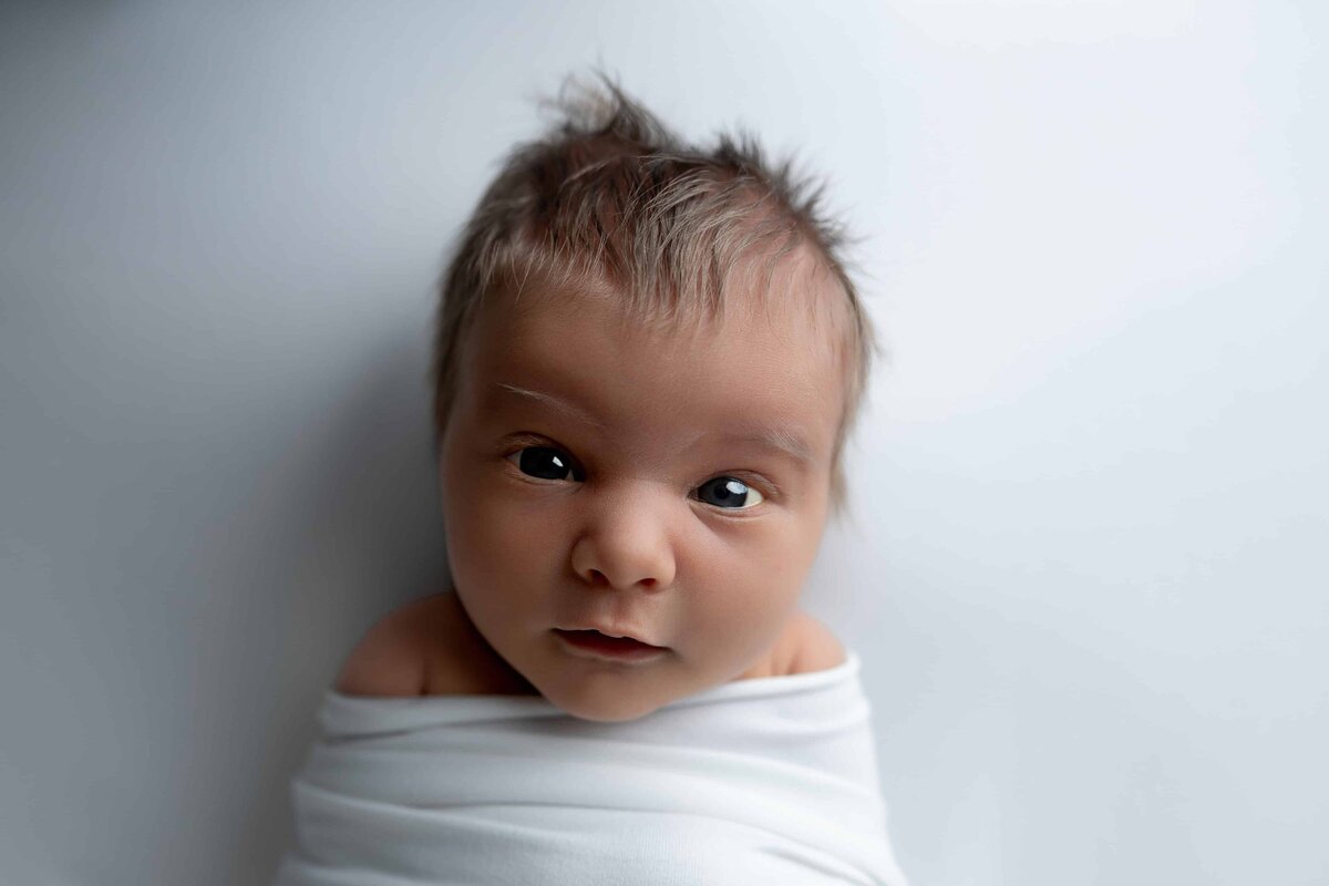 Newborn-studio-session-west-fargo