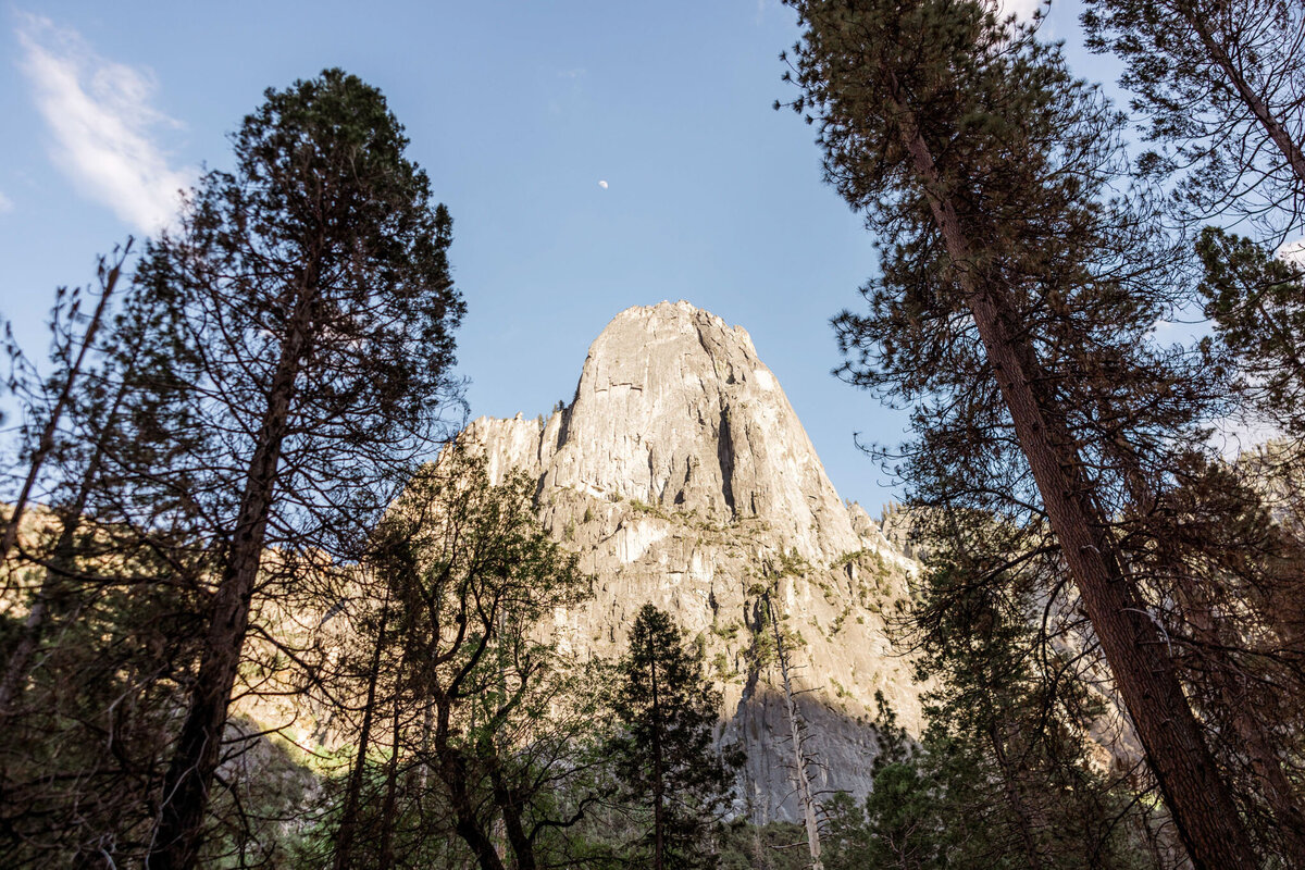 Alexis Hamey Yosemite Engagement-39