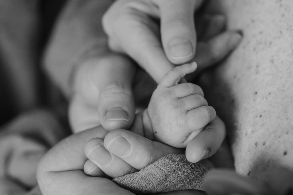 michigan newborn photography5