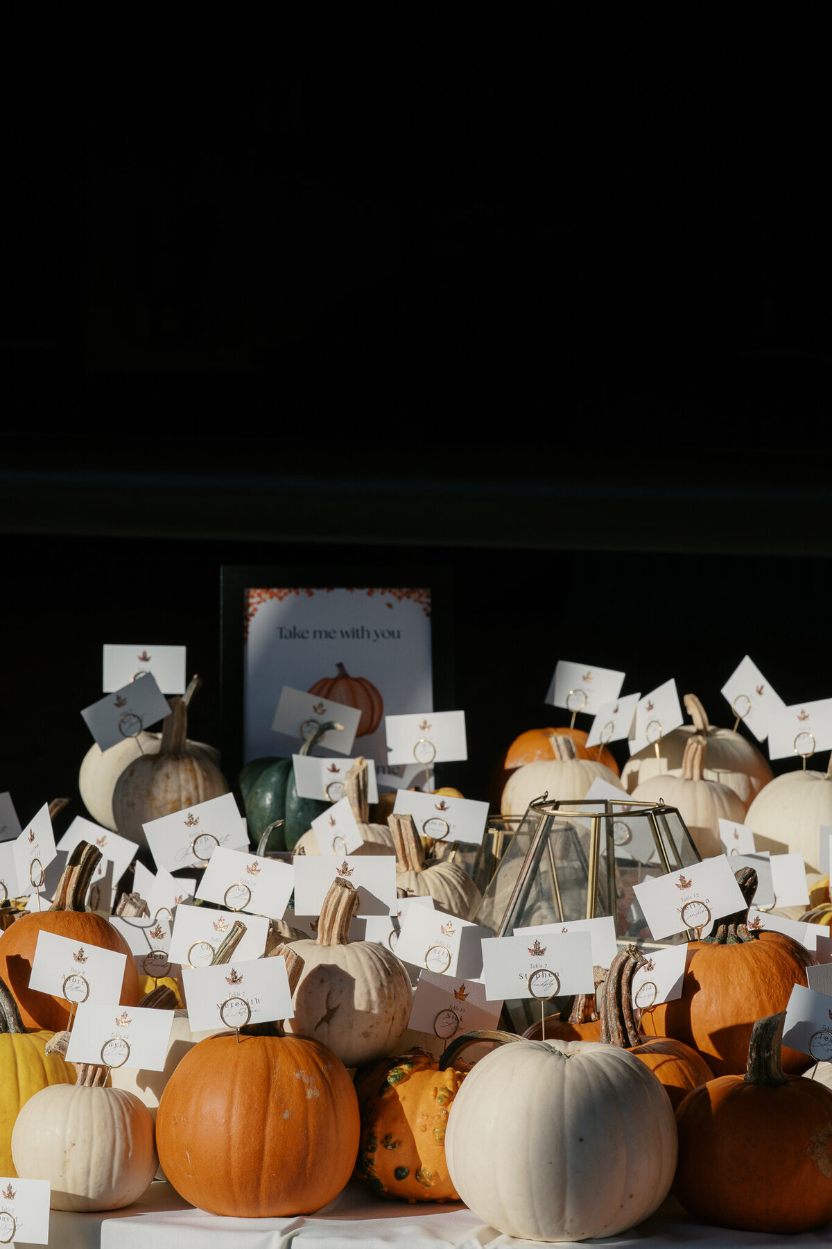 Ryan-and-Duke-Previews-12