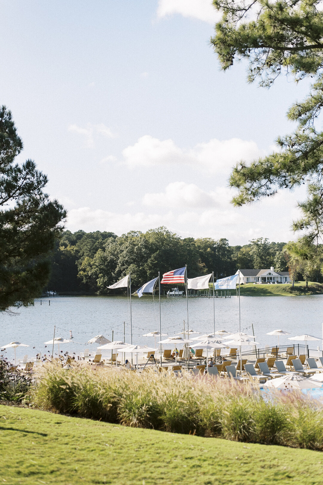 McNeely Wedding SS-34642