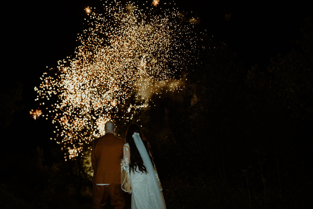 newlyweds-looking-at-fireworks-at-their-backyard-wedding-reception-evening-1