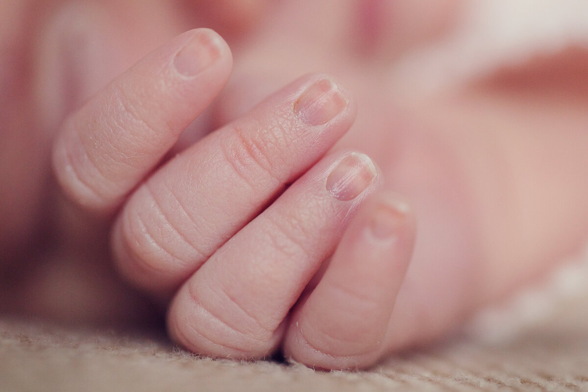 Close-up picture of a newborn's tiny hand and delicate, tiny fingernails.