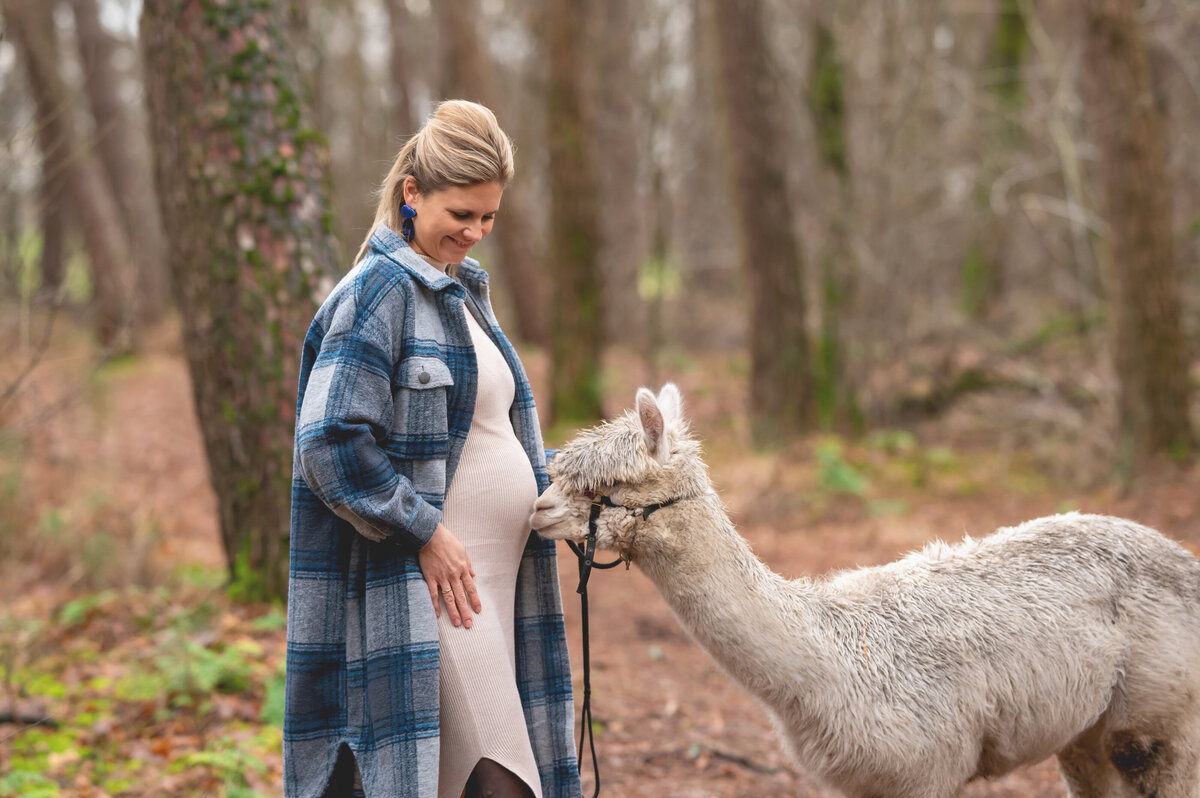 zwangere mama bij alpaca