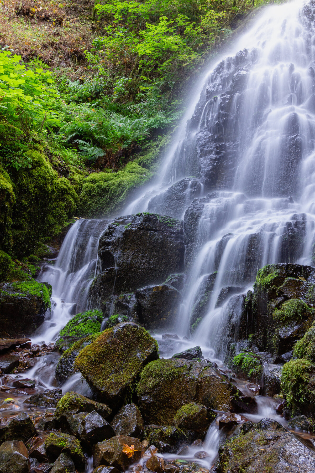 waterfalls_columbia_rive_0055_2