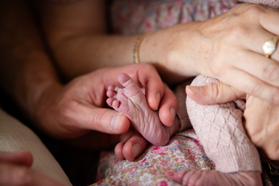San Francisco Family Photographer Alyx Jones101