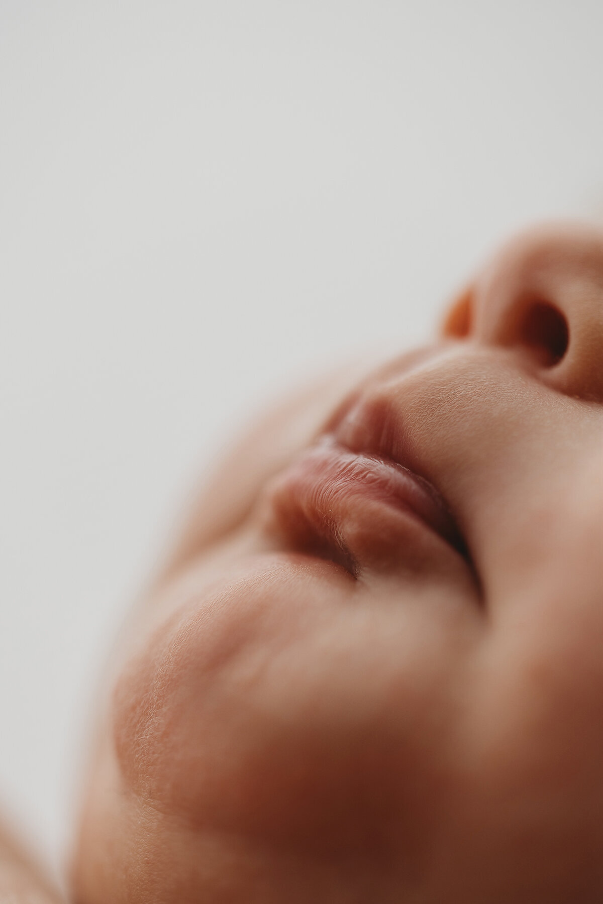 newborn photographer phoenix