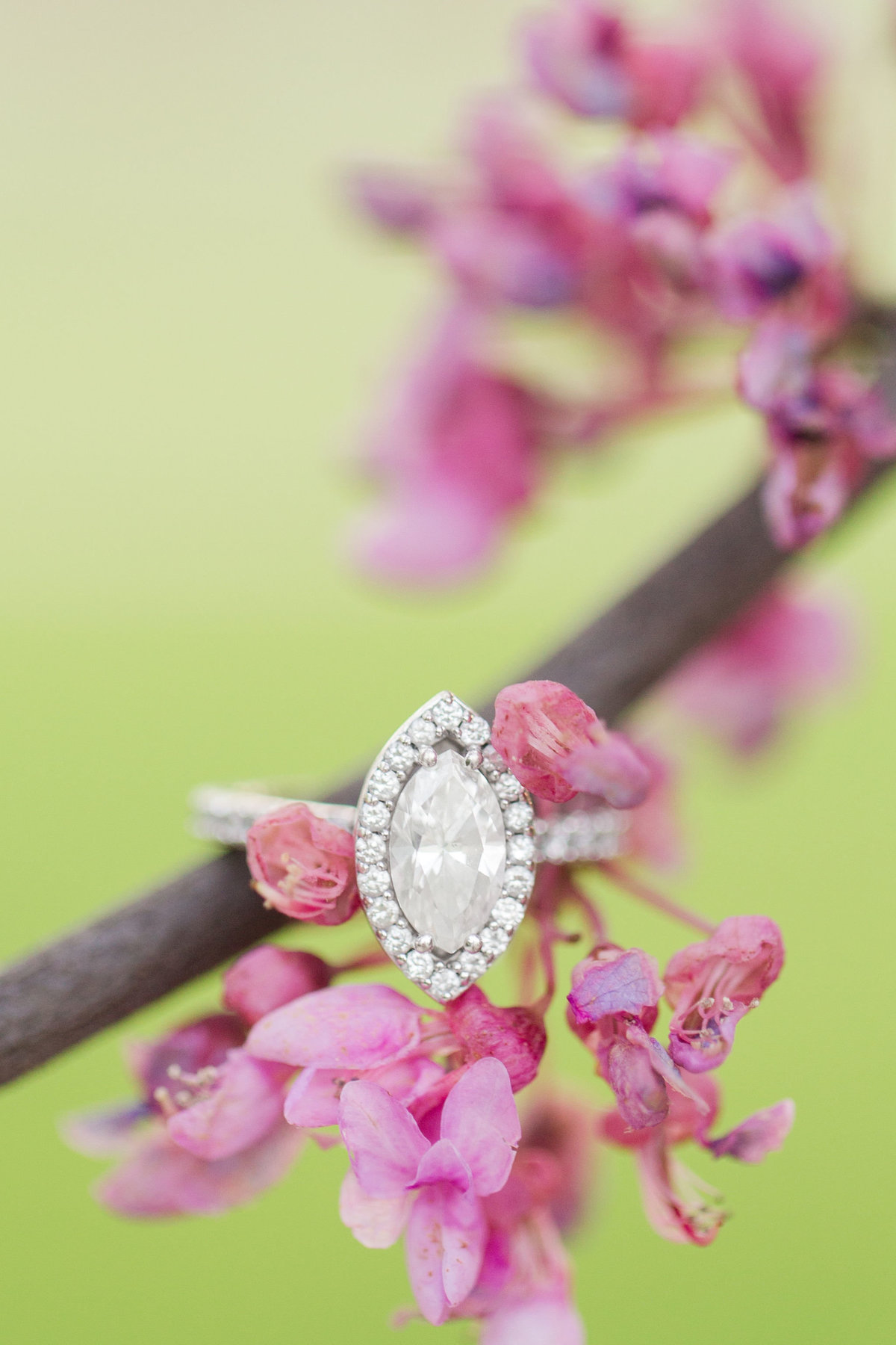 Haley&RyanEngagement-2018-7997-2