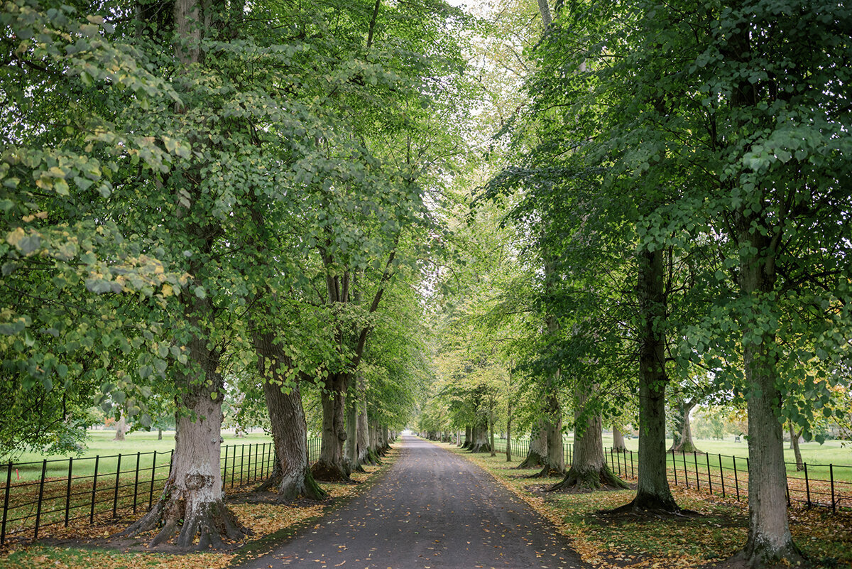 Michelle Norwood Living - Luxury Travel Inspiration - Scene Setters Ireland - Megan-Noll_Engage-Ireland22-34