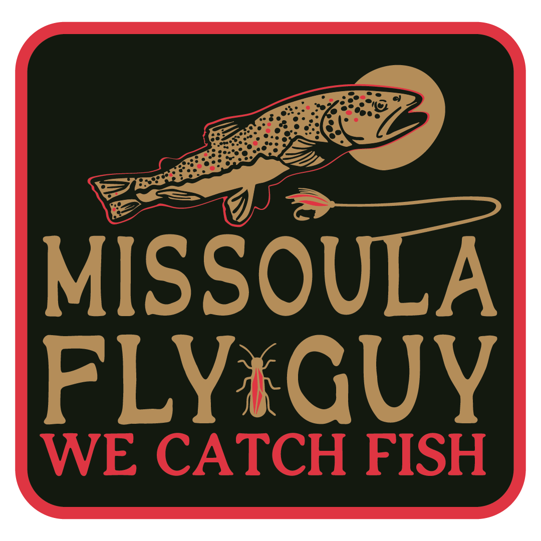 Main Logo One - Colorway One Boarder