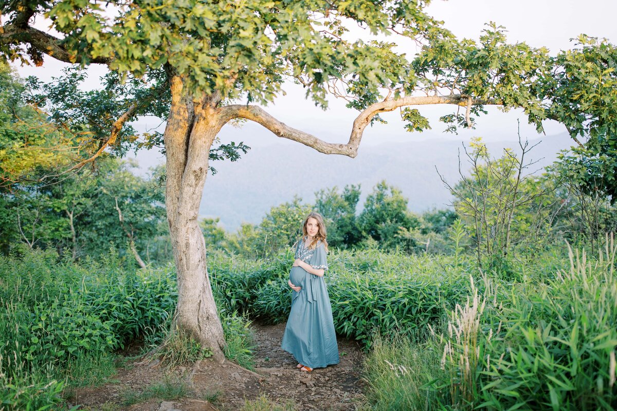 Danielle-Defayette-Photography-Beauty-Spot-Maternity-Photos-Unicoi-92