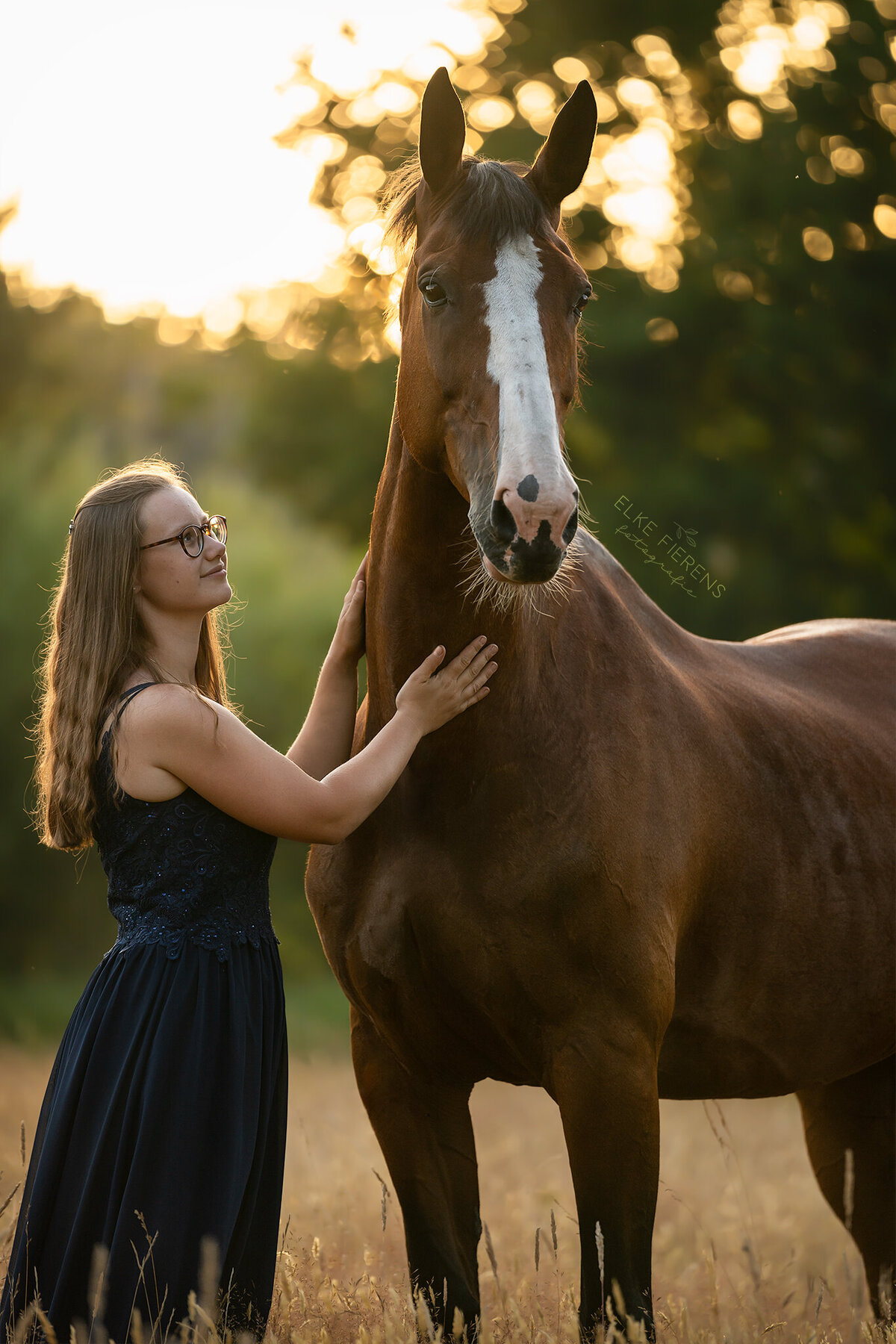 paardenfotograaf - connectie mens en dier - golden hour