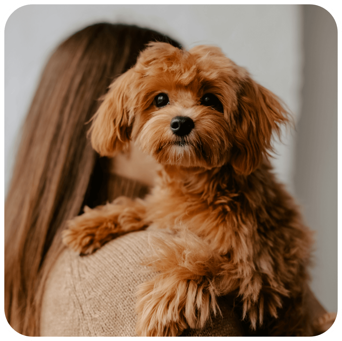 attaboys-and-attagirls-11