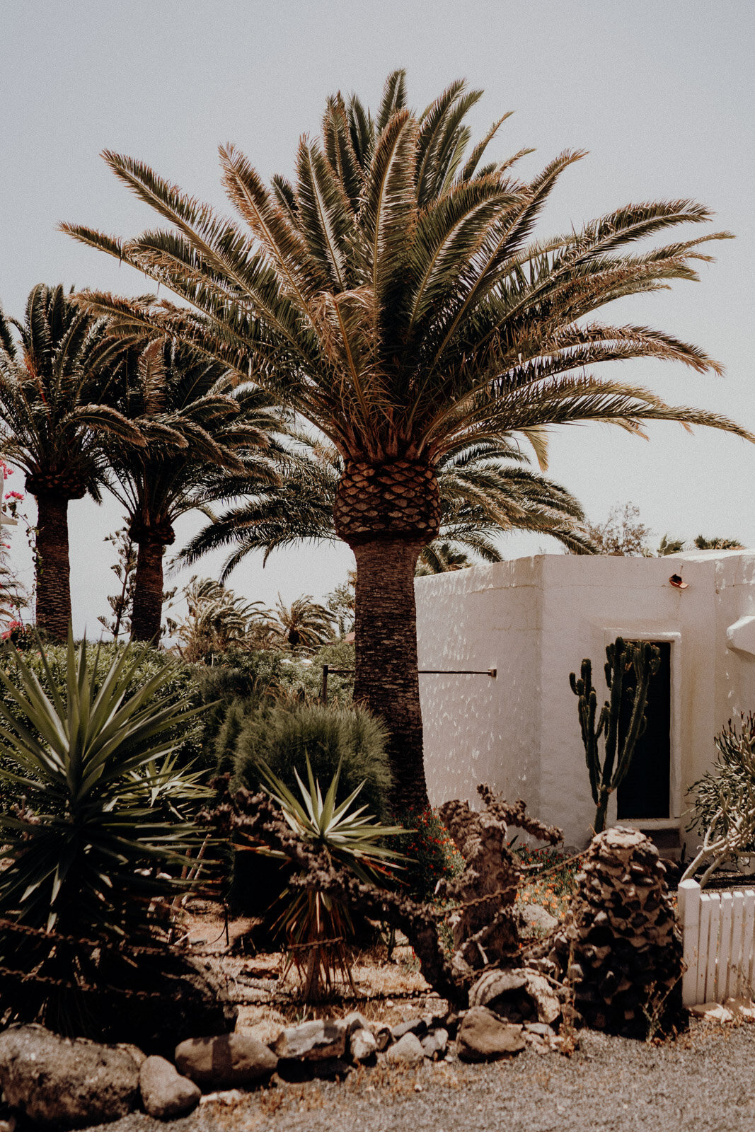 Loft-Apartment-mit-Meerblick-auf-Fuerteventura2