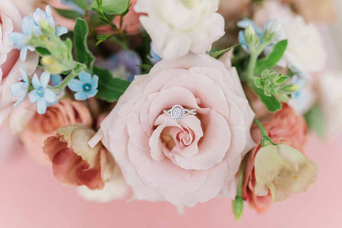 Denver Colorado Wedding Photographer