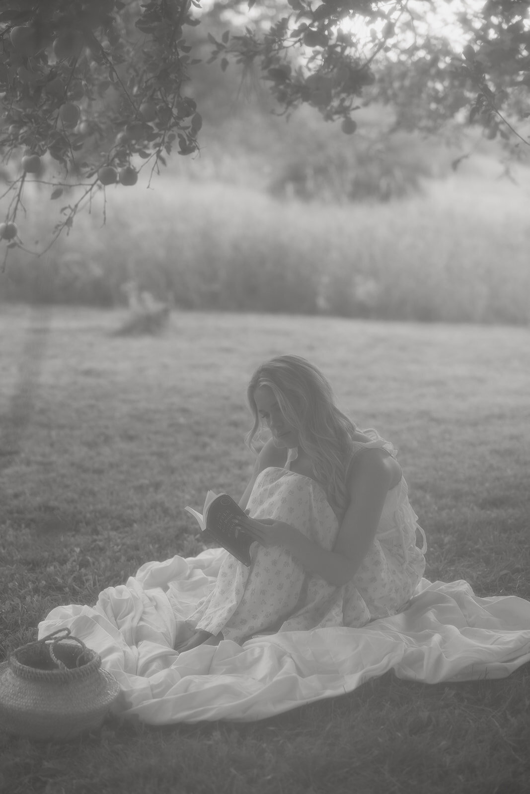 tanya-davids-photo-film-documentary-idaho-utah-oregon-washington-colorado-wedding-elopement-portrait-photographer-intention-session-apple-orchard-97