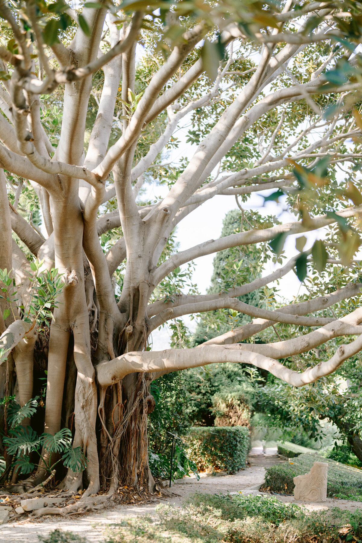 villa-ephrussi-de-rothschild-wedding-photos-19