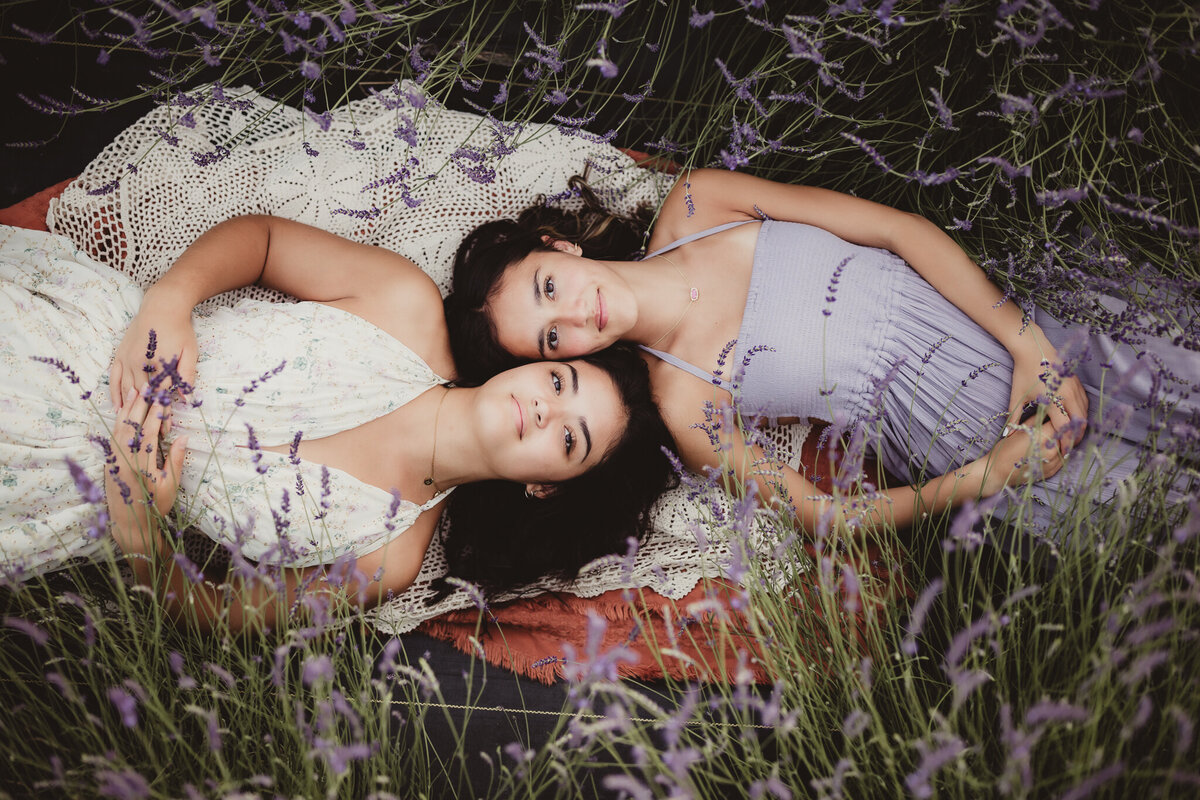 cuevas in lavender-42