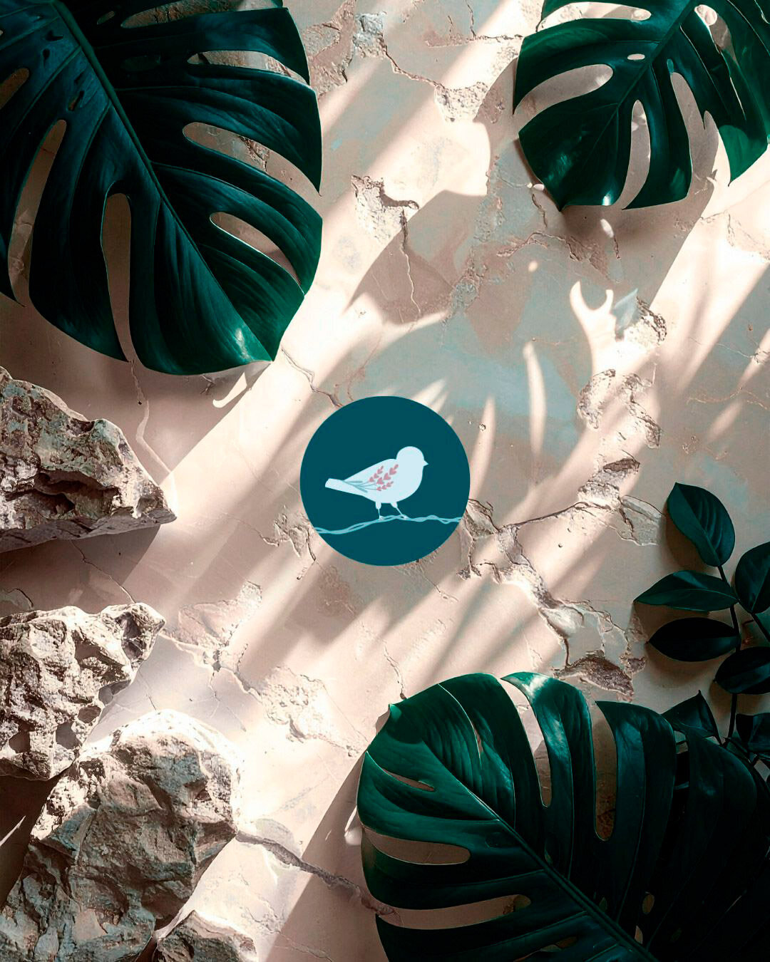 bir-on-a-wire-brandmark-stock