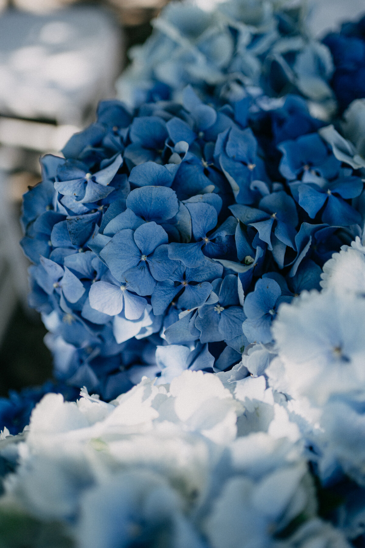 Doina+Stefan-18