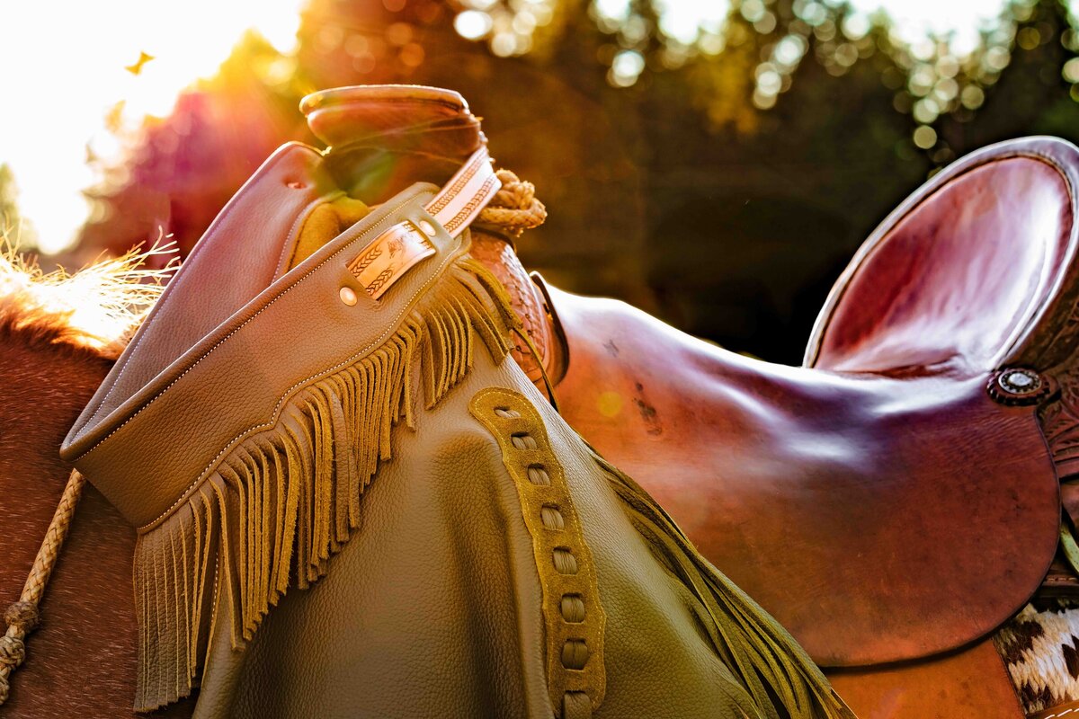 seattle-equine-photogrpaher-7